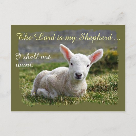 Lord is mijn Shepherd Psalm 23 Complete versie Briefkaart (Voorkant)