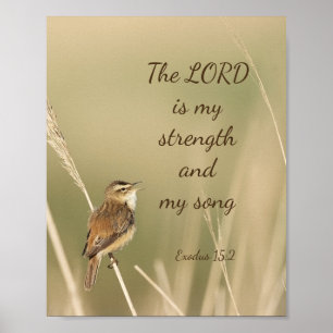 Lord is mijn Sterkte & Song Scripting Song Bird Poster