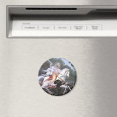 lord kalki magneet (Insitu (Vaatwasser))