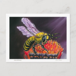 Lord of Honey Briefkaart