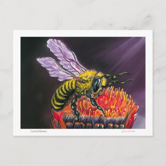 Lord of Honey Briefkaart (Voorkant)