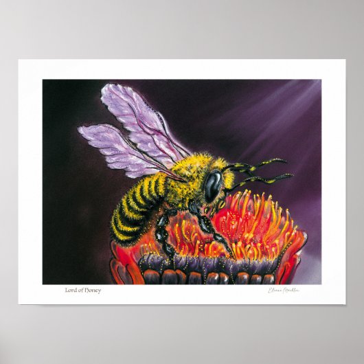Lord of Honey - Poster (Voorkant)