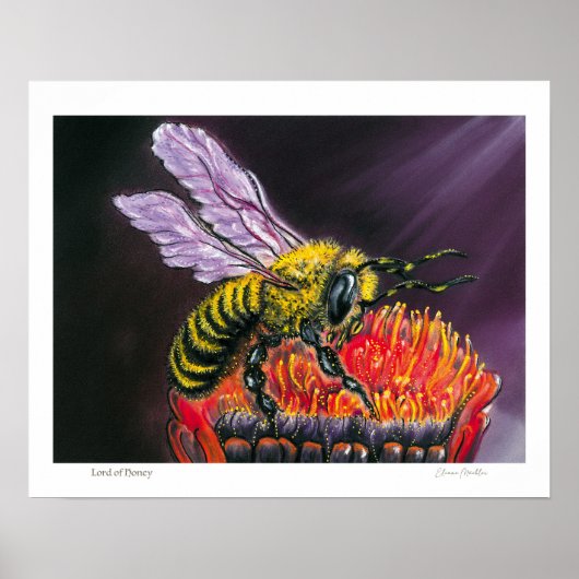 Lord of Honey Poster (Voorkant)