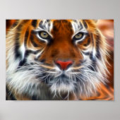 Lord of the Indian Oerwouden, The Royal Bengal Tig Poster (Voorkant)