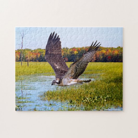 "Lord of the Marsh" Puzzle Legpuzzel (Horizontaal)