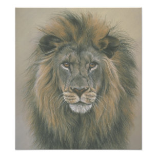 Lord of the Oerwoud Lion Poster