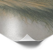 Lord of the Oerwoud Lion Poster (Hoek)