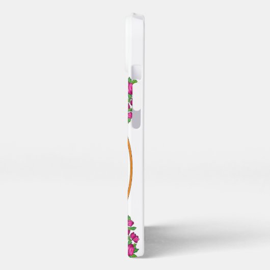 Lord Sitaram Phone Cover iPhone Hoesje (Linkerkant)