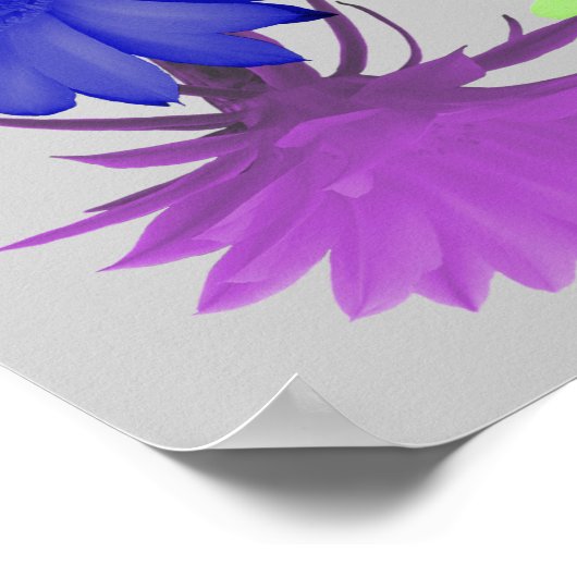 Lord's Prayer in a Rainbow Flower Border Poster (Hoek)