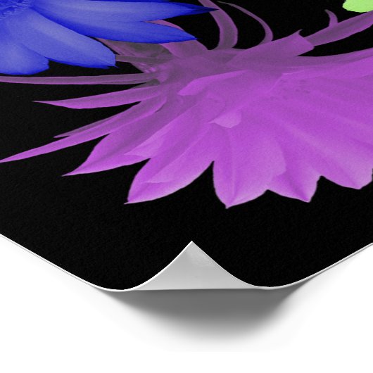 Lord's Prayer in a Rainbow Flower Border Poster (Hoek)