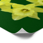 Lord's Prayer in een Daffodil Lijst Poster (Hoek)