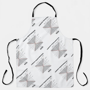 Lorentz transformatie in natuurkunde schort