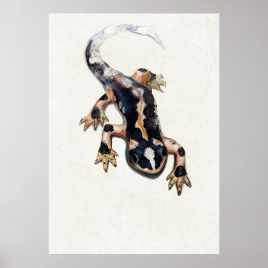 Lorestan's Salamander Scientific Illustration Poster (Voorkant)