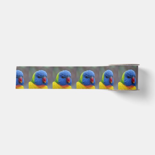 Lori_2015_0203 Grosgrain Lint (Voorkant)