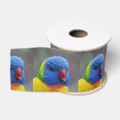 Lori_2015_0203 Grosgrain Lint (Spoel)