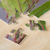 Lori-vogel zit papegaai dier veren legpuzzel (Zijkant)