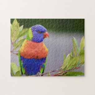 Lori-vogel zit papegaai dier veren legpuzzel