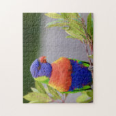 Lori-vogel zit papegaai dier veren legpuzzel (Verticaal)