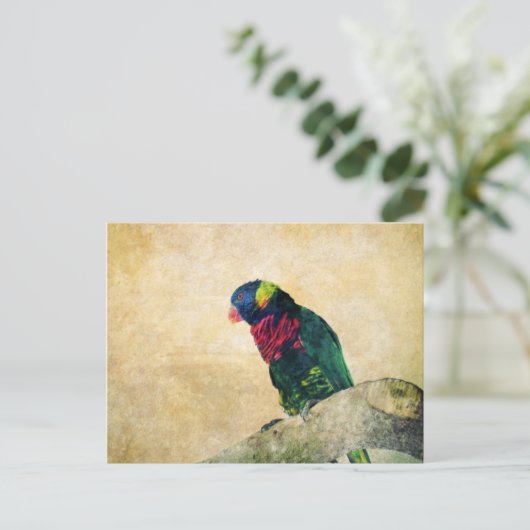 Lorikeet Briefkaart (Staand voorkant)