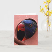 lorikeet notecard (hallo) kaart (Gele Bloem)