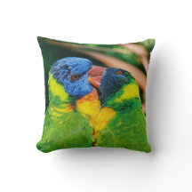 Lorikeets in Love