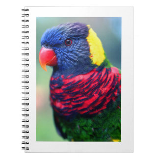 Loriket#1-laptop Notitieboek