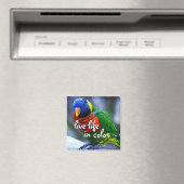 Loriket rood blauw groen vogel leven in kleur magneet (Insitu (Vaatwasser))