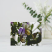 Lorraine's Viola Briefkaart (Staand voorkant)