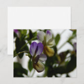 Lorraine's Viola Briefkaart (Voorkant / Achterkant)