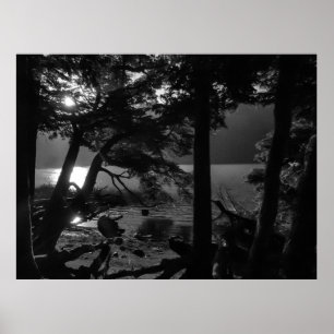 Los Alerces nationaal park waterkant landschap, ar Poster