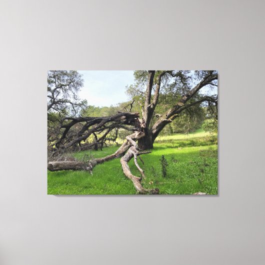 Los Altos Hills Canvas Afdruk (Voorkant)