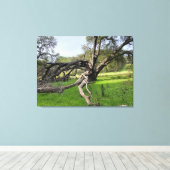 Los Altos Hills Canvas Afdruk (Insitu (Houten vloer))