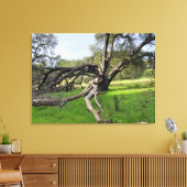 Los Altos Hills Canvas Afdruk (Insitu (Woonkamer))