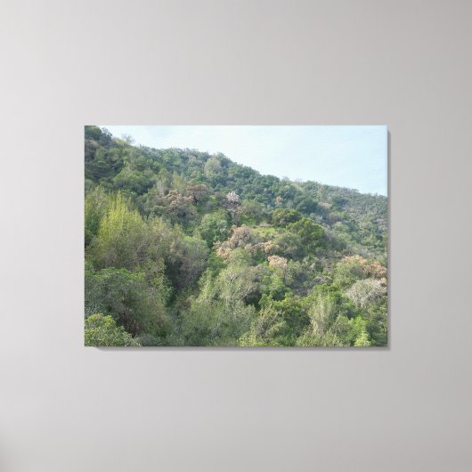 Los Altos Hills Canvas Afdruk (Voorkant)