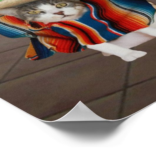 Los amigos poster (Hoek)