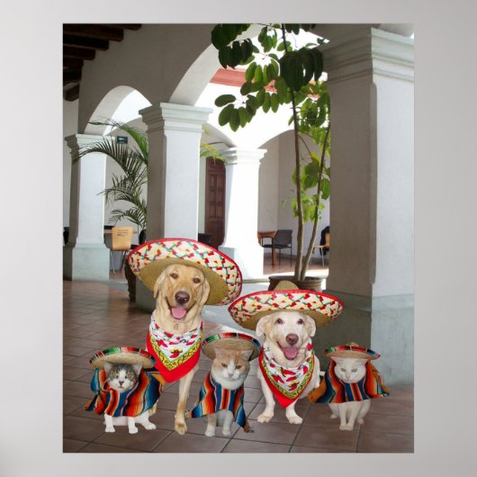 Los amigos poster (Voorkant)