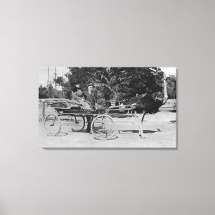 Los Angeles, CA Ostrich Boerderij Cart Scene Canvas Afdruk