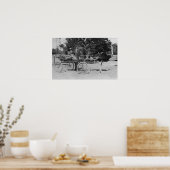 Los Angeles, CA Ostrich Boerderij Cart Scene Poster (Keuken)