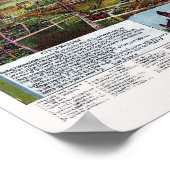 Los Angeles, CA Panoramic Map - 1894 Poster (Hoek)