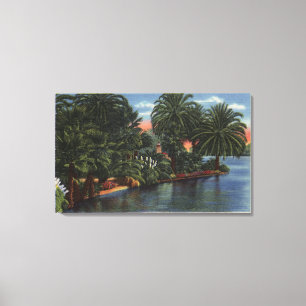 Los Angeles, CaliforniaA Beauful Park Scene Canvas Afdruk