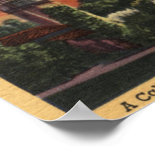 Los Angeles, CaliforniaSunset in Echo Park Poster (Hoek)