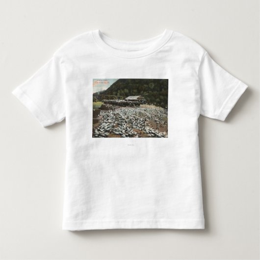 Los Angeles, CaliforniaView of a Pigeon Boerderij Kinder Shirts (Voorkant)