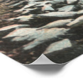 Los Angeles, CaliforniaView of a Pigeon Boerderij Poster (Hoek)