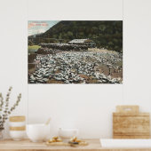 Los Angeles, CaliforniaView of a Pigeon Boerderij Poster (Keuken)