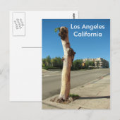 Los Angeles Cool Tree Briefkaart! Briefkaart (Voorkant / Achterkant)