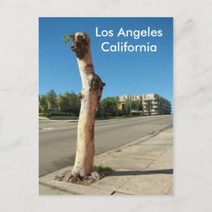 Los Angeles Cool Tree Briefkaart! Briefkaart
