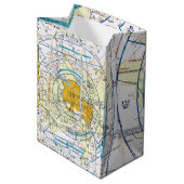 Los Angeles Flyway Chart Medium Cadeauzakje (Voorkant Gekanteld)