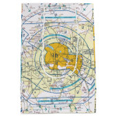 Los Angeles Flyway Chart Medium Cadeauzakje (Achterkant)