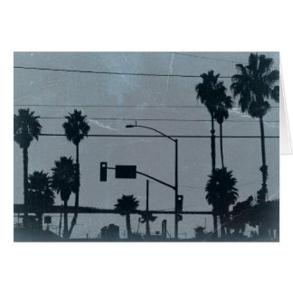 Los Angeles Palm Trees