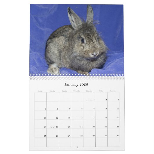 Los Angeles Rabbit Foundation - 2012 Kalender (Jan 2026)